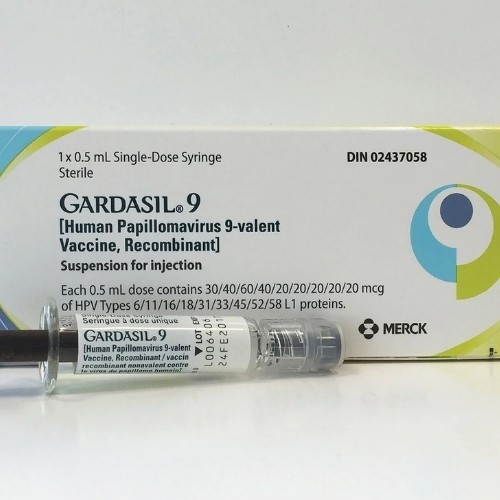 human papillomavirus vaccine gardasil